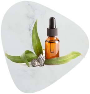 Eucalyptus Oil